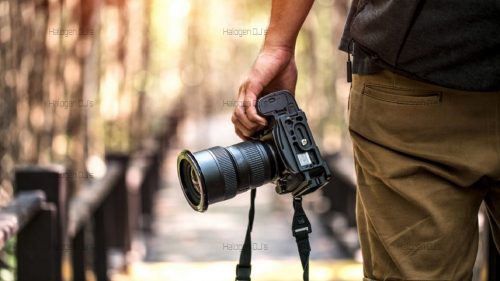 Click here to learn more about our Landscape Photography services!