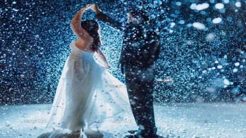 Click here to learn more about our Snow Effects services!