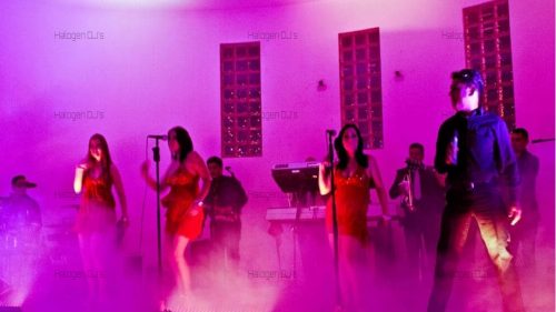 wedding-live-music-hire-melbourne-band-musician-singer-cover-top-vocalist-guitar-keyboard-drum-show-performance-halogen-dj-company_wm